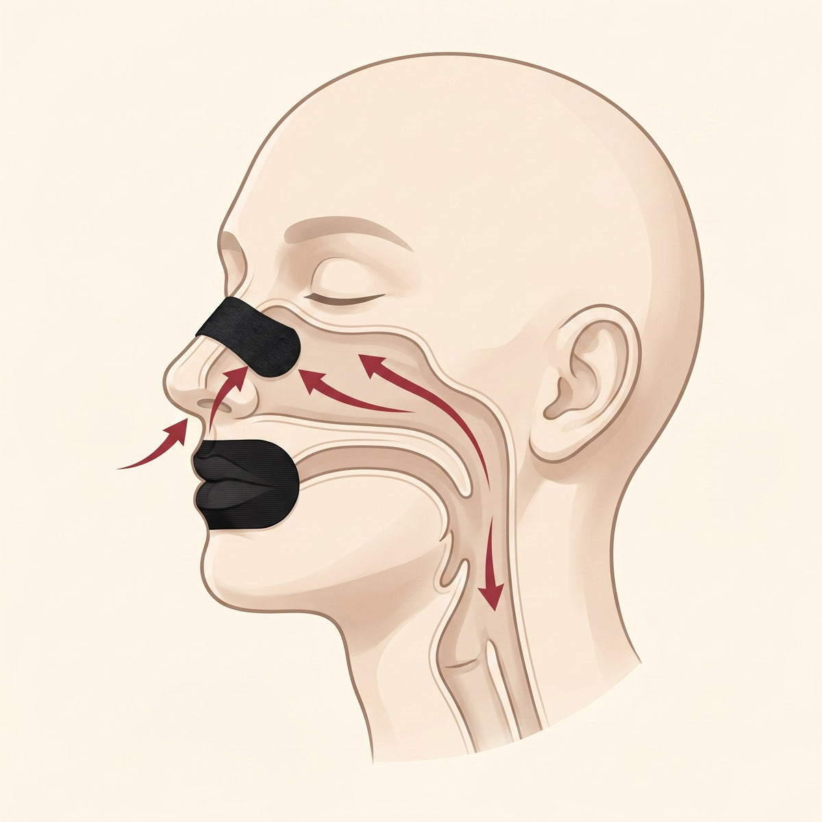 65gsm Premium Mouth Tape & Nasal Strip